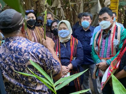 LPDB-KUMKM Dukung Pengembangan Ekosistem Bisnis Komoditas Bambu NTT Melalui Koperasi
